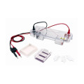 Laboratory Equipment Thin film electrophoretic tank